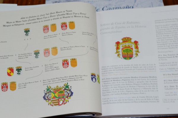 CASA DE CAAMAÑO. Su historia. Patrimonio cultural. 2 volúmenes.
